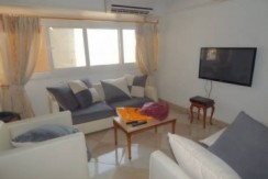 Newly Renovated Flat For Rent In Zamalek Newly Renovated Flat For Rent In Zamalek