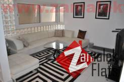 Apartment for Rent In Zamalek