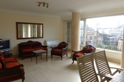 Apartment For Rent In Zamalek Apartment For Rent In Zamalek