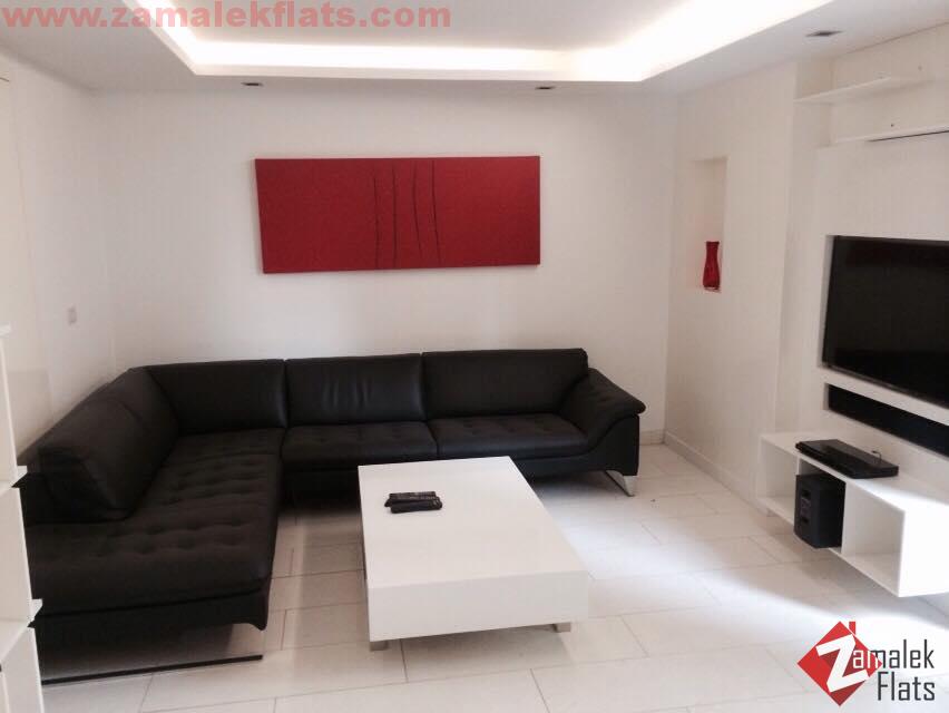 wonderful fully furnished ground floor apartment for rent in zamalek