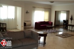 Clean Fully Furnished Apt In A Prime Location