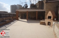 Large Penthouse For Rent In Zamalek