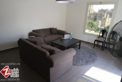 New Renovated Penthouse Apartment For Rent In Zamalek New Renovated Penthouse Apartment For Rent In Zamalek