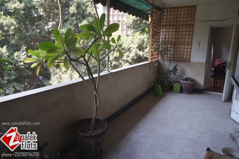 Furnished Apt For Rent In Shopping Location + Large Terrace