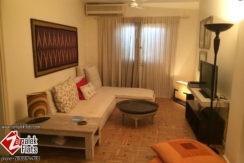 Comfortable Furnished Apt In Zamalek Comfortable Furnished Apt In Zamalek