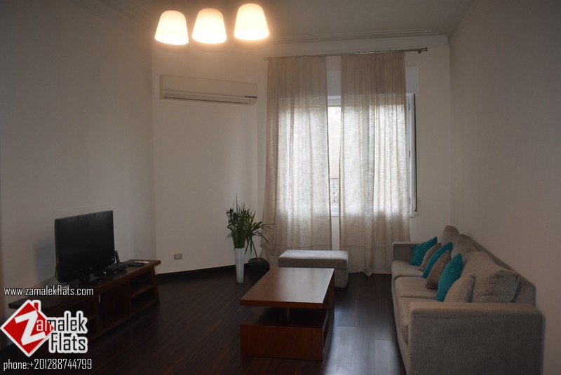 Modern Furnished High Ceiling Apt In Central Location