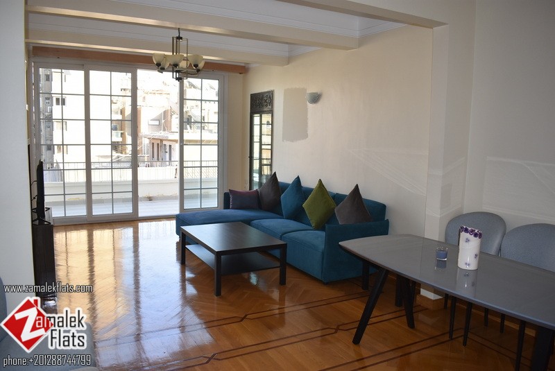 Fully Furnished and Renovated Apt in South Zamalek