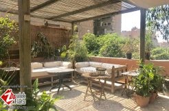 Penthouse with Large Terrace for Rent in Zamalek