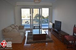 Renovated Nile View Apartment for Rent