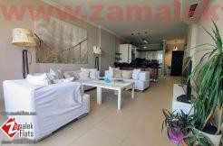Modern Furnished Nile View Apartment in South Zamalek Modern Furnished Nile View Apartment in South Zamalek