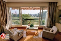 Furnished Green View Apartment For Rent In Zamalek Furnished Green View Apartment For Rent In Zamalek