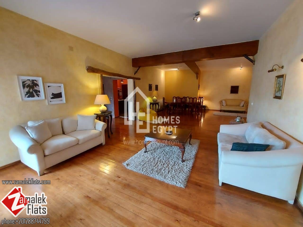 Newly Renovated Penthouse For Rent In Zamalek