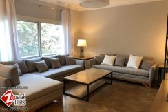 Furnished Apartment For Rent In South Zamalek
