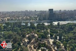 Nile and Park View Bright Apartment South Zamalek