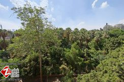 South Zamalek / 4 Bedrooms / High Ceilings / Renovated