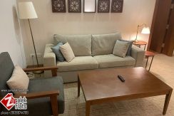 Serviced Apartment/ Shared Pool/ Modern Style