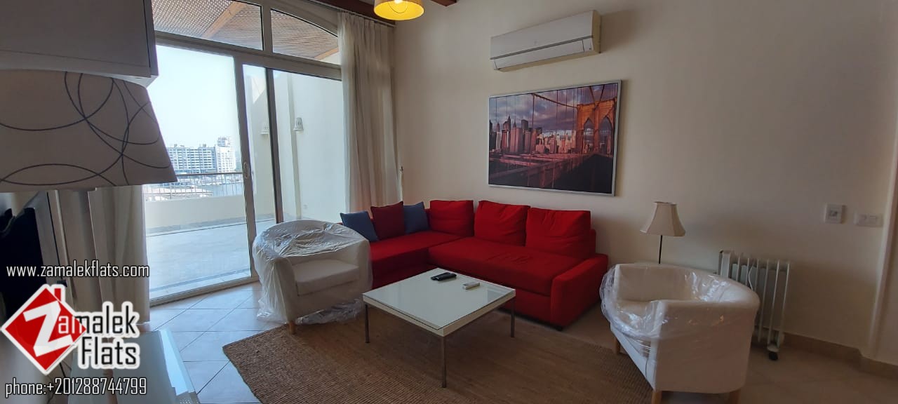 Modern Furnished Penthouse For Rent In Zamalek