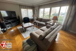 Greenery View Apartment for Rent in Zamalek