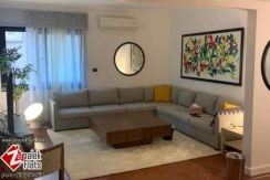 Cozy Apartment for Rent in Zamalek
