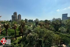Spacious Elegent 4Bedroom Apartment in South Zamalek Spacious Elegent 4Bedroom Apartment in South Zamalek