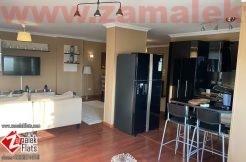 Charming Cozy Apartment for Sale in Zamalek Charming Cozy Apartment for Sale in Zamalek