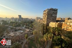 Green View Furnished Flat South Zamalek with Open Kitchen. Green View Furnished Flat South Zamalek with Open Kitchen.