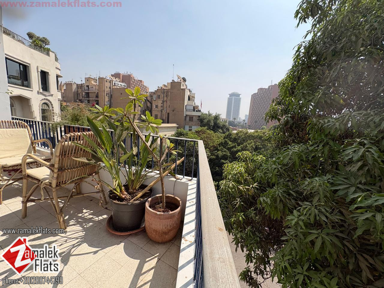 South Zamalek Bright Greenery View